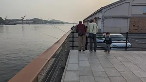 尾道/広島版の地域写真
